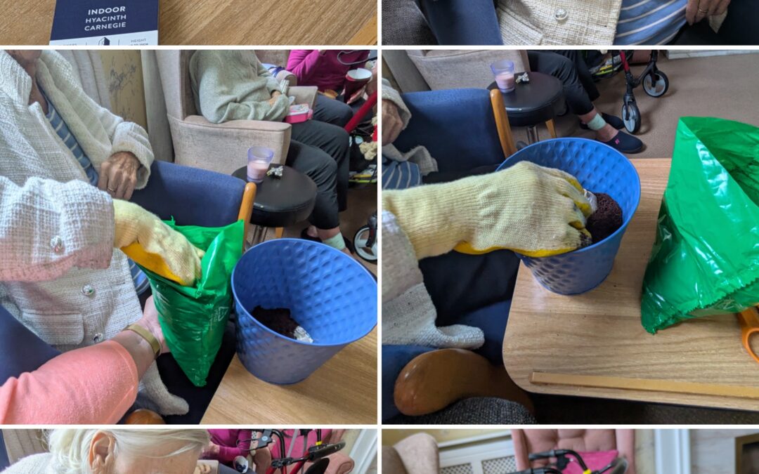 Supporting Well-Being & Independence at Lavender Court